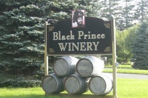 vin prince-edward-county