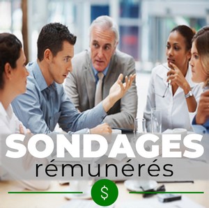 Sondages_Remuneres-2.jpg