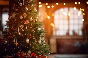 Le temps des Fêtes : Célébrations joyeuses du Jour de Noël