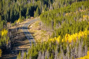 Passé et Avenir : Calgary et Stoney Trail SE