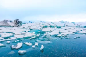 La glace de mer en Amérique du Nord : Béringie et l'humanité.