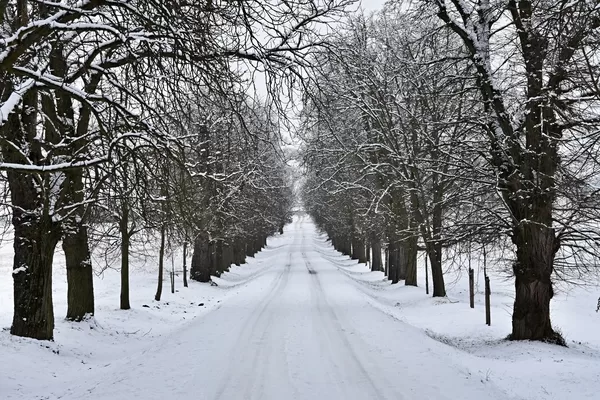 Météo au Québec : Une journée de neige pour toute la province