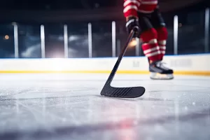 Hockey sur glace : Ottawa et Boston dans les tempêtes hivernales